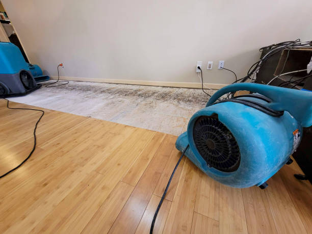 Professional Water Damage Repair technician working in Danbury, TX